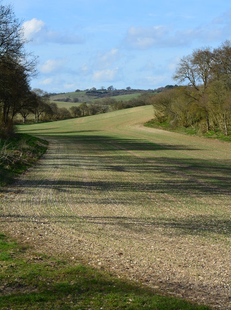 Dry valley in Faccombe, Hampshire