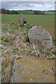 NJ6727 : Old Rayne Recumbent Stone Circle (12) by Anne Burgess