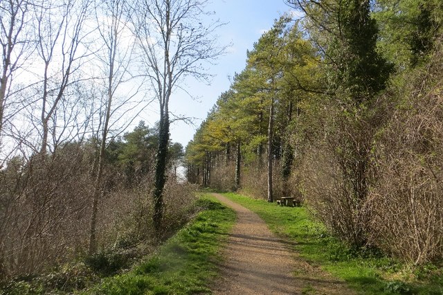 Path, Combe Hill