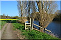 Remains of field boundary beside the River Weaver