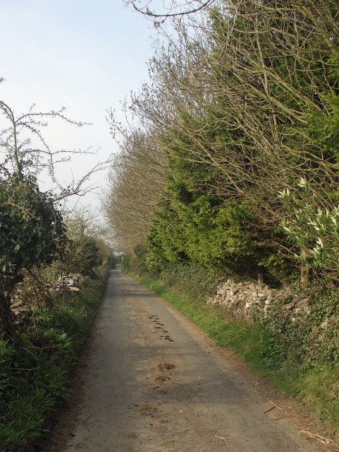 A straight section of Zig-zag Lane