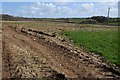 Farmland near Moortown