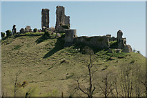 SY9582 : Corfe Castle by Peter Trimming