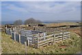 Sheep Pens at Sunipol Farm