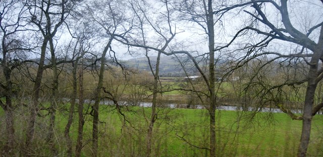River Severn through trees