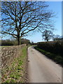 Country lane between Bulwardine and Broughton