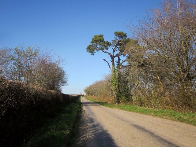 Lane across Long Moor