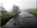 Misty along the Strule, Newtownstewart