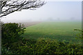 Farmland near RAF Mildenhall