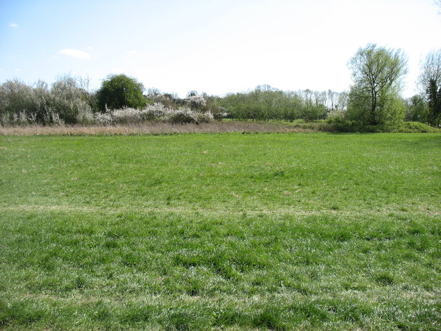 Pangbourne Meadow © David Purchase cc-by-sa/2.0 :: Geograph Britain and ...