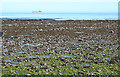 Foreshore at Lathallan