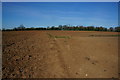 Path from Micklefield to the A656