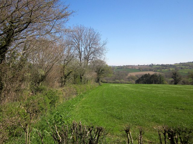 Field boundary north of Gribb