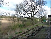 TL5103 : Wooded embankment, west of Blake Hall Station by Christine Johnstone
