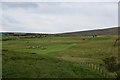 Golf course, Leadhills