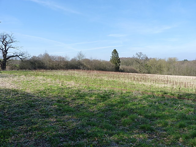 An uncultivated field near The Limleys
