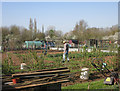 On the Allotment