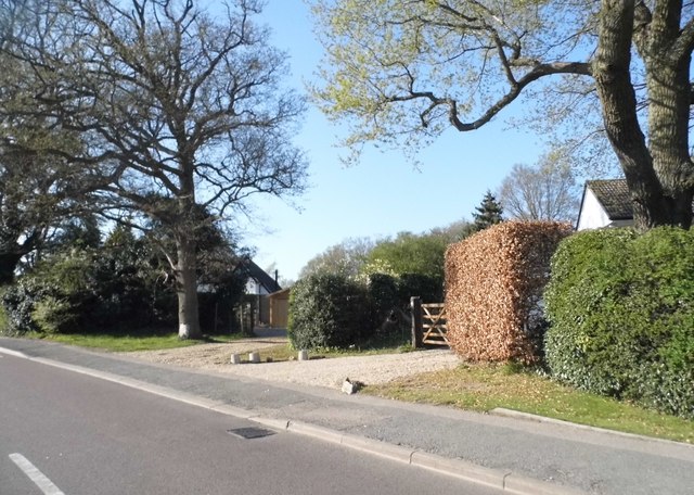House entrances on Hempstead Lane