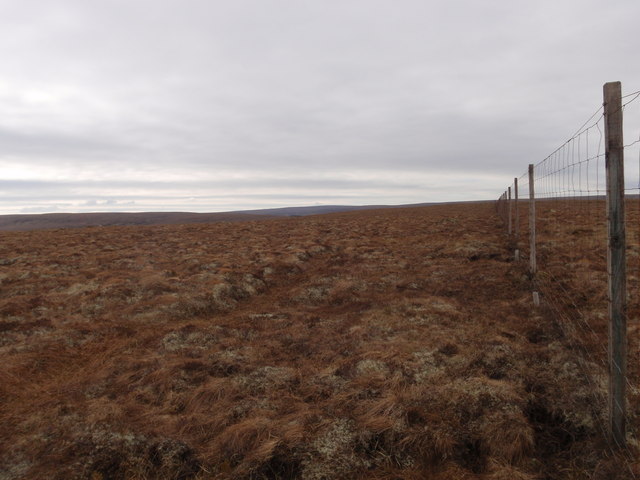 Looking South along the Caithness/Sutherland border