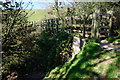 Footbridge, Southwest Coast Path