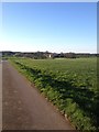 Kirby Hall in the distance