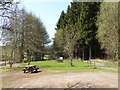 Picnic site, Craik Forest