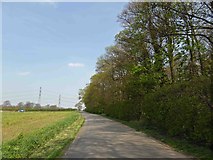 SE8719 : On the right is Coleby Wood by Steve  Fareham