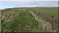 Coast path near Sandend