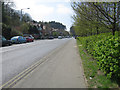 A21, Sedlescombe Road North