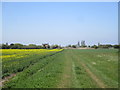 Track to a derelict farm