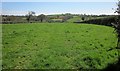 Grass field near Bathpool