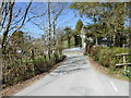 The road outside the school