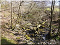 Fallen trees in the Afon L?s/Afon Babi