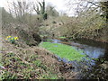 River Chess near to Watercress Cottage