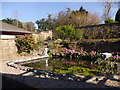 Garden pond, Newport-on-Tay