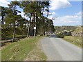 Country road above Woodburn