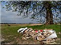 TF4412 : Pile of dumped animal bones by Bikeboy