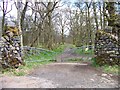 West Highland Way near Craigallian Bridge