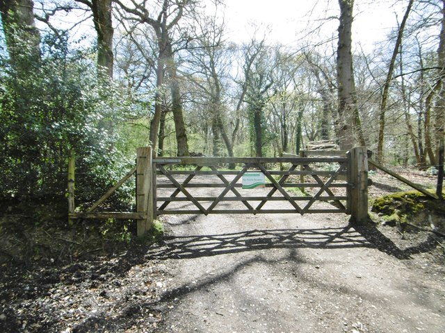 Roydon Woods, gate