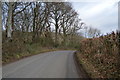 Road to Corfe Castle