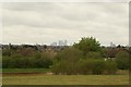 View of Canary Wharf and the Stratford Eye from Claybury Park