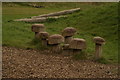 Toadstool seats in the children