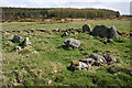 NO7191 : Eslie the Greater Recumbent Stone Circle (7) by Anne Burgess