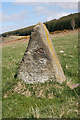 NO7191 : Eslie the Greater Recumbent Stone Circle (9) by Anne Burgess