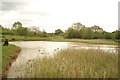 View across the lake in Claybury Park