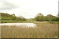 View across the lake in Claybury Park #2