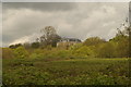 View of Claybury Hall from Claybury Park #3