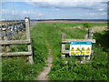 The Saxon Shore Way reaches Hamgreen Saltings