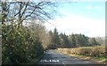 Approaching bend near Whinnydram