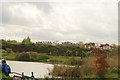 View of an interesting wave of chimneys of houses on Roding Lane North from the Redbridge Fishing Lakes #2